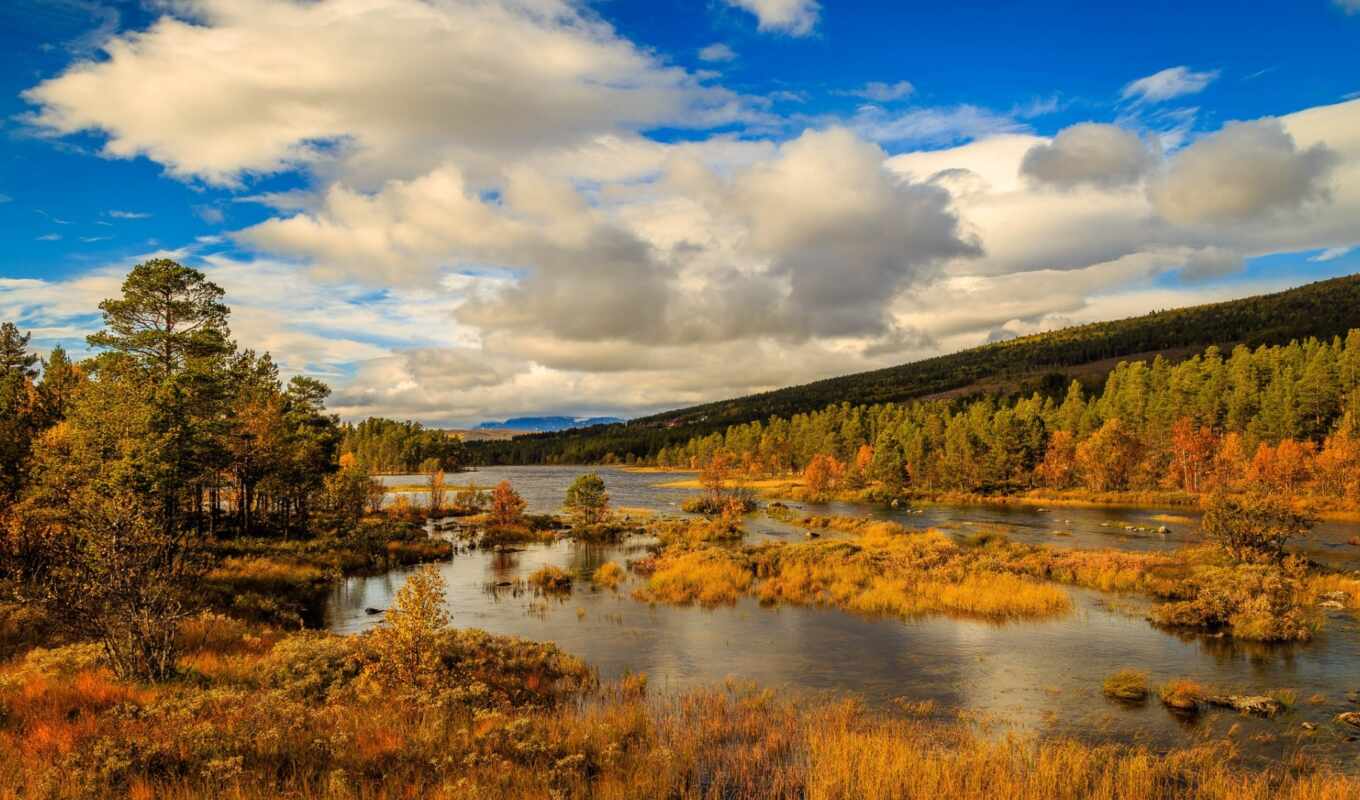 природа, осень, norwegian