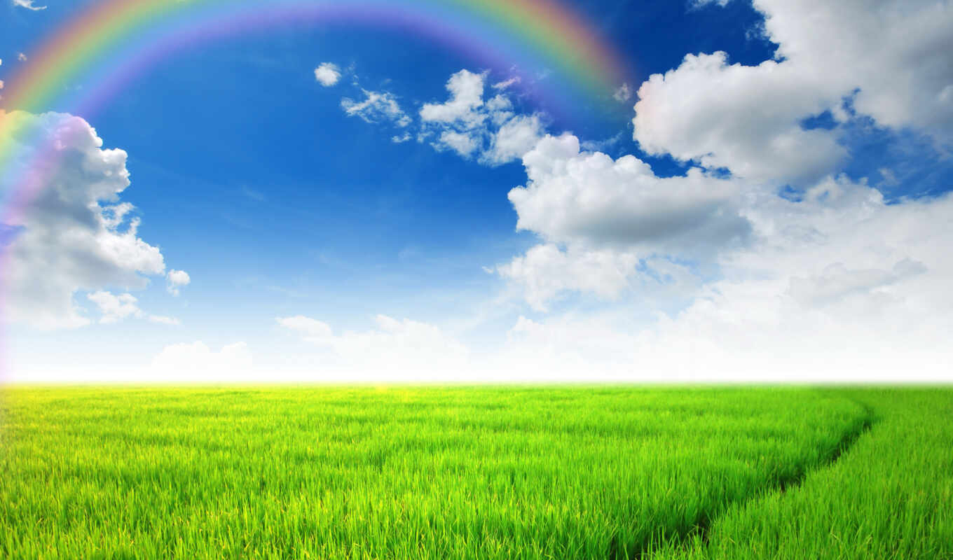 sky, grass, rainbow, field, cloud, scenery, rare