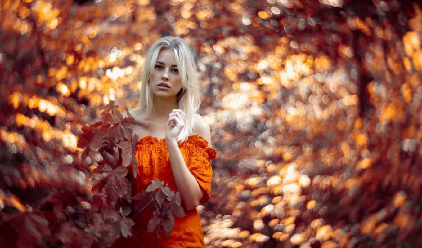 photo, girl, background, model, autumn, outdoor