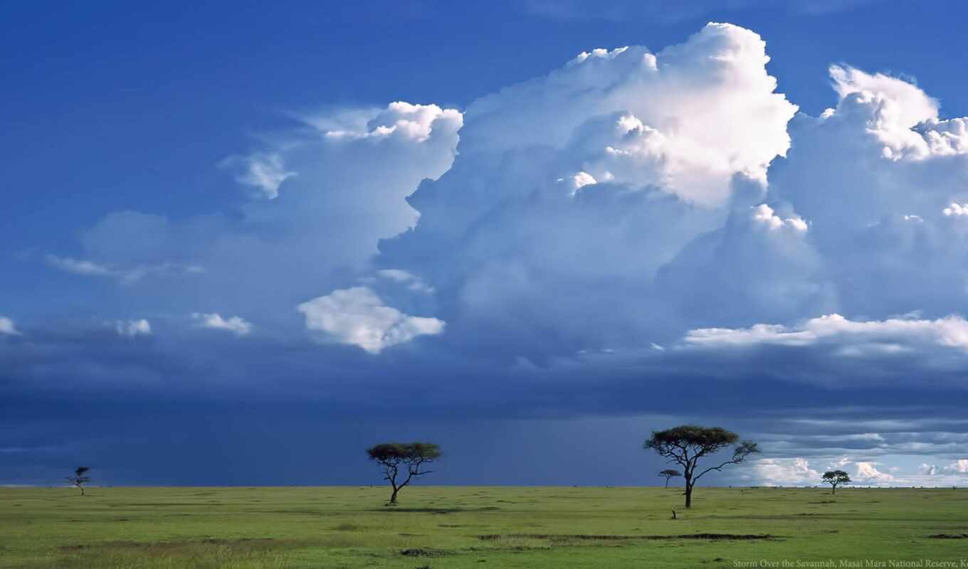 природа, саванна, африка, kenya