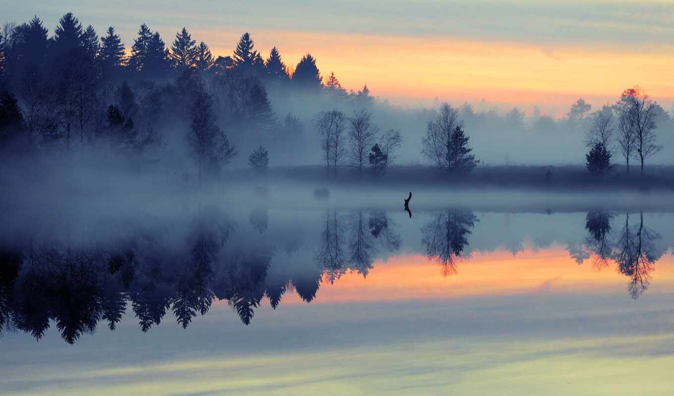 lake, sunrise, forest, fog