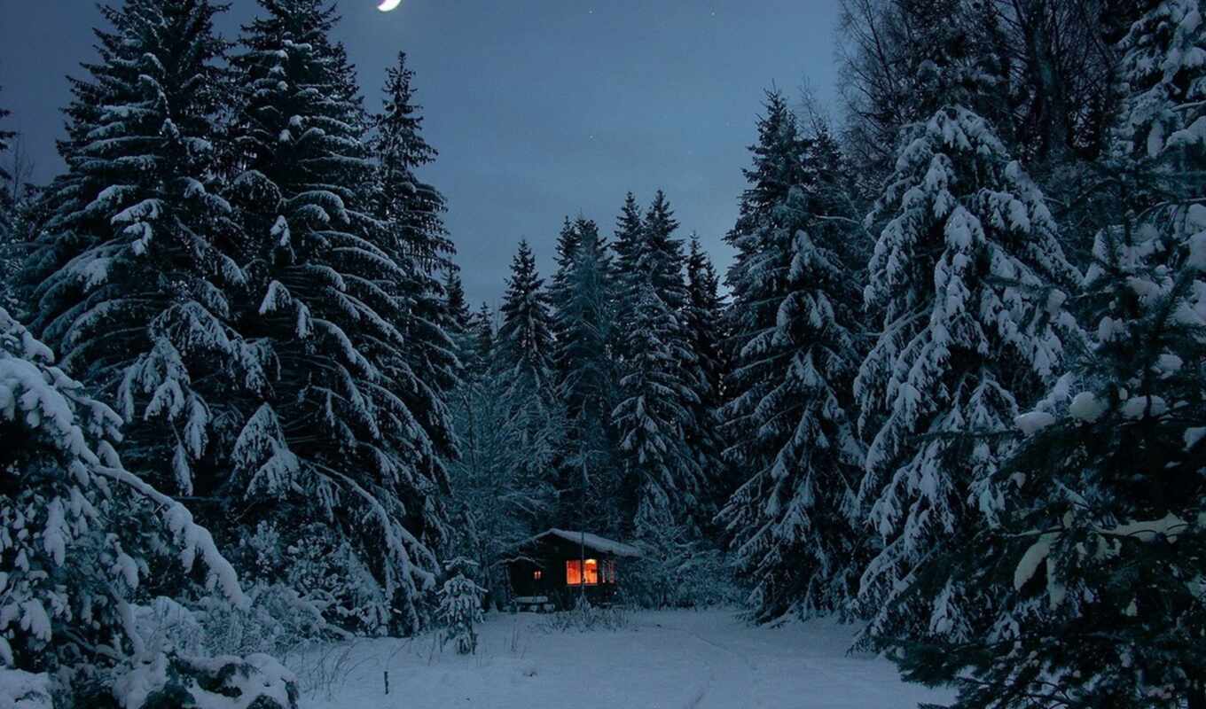 луна, снег, winter, лес, огни, lodge, лесу, сказочный, зимой