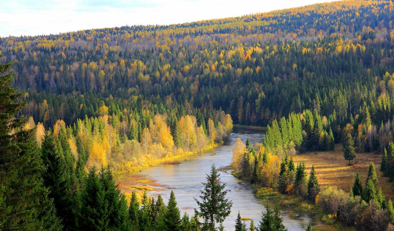 view, russian, forest, deck, square, Russia, boreal, dostignut