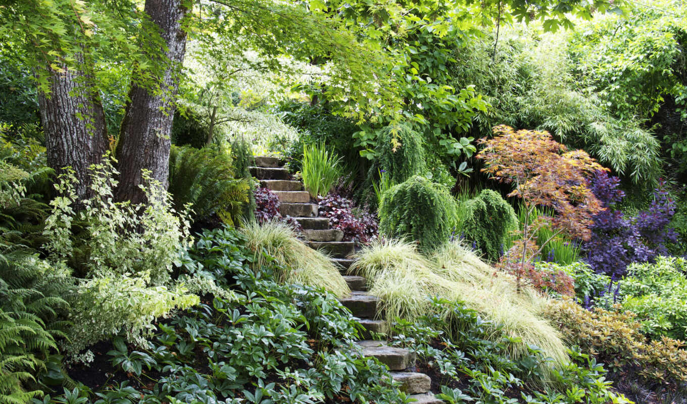 garden, pinterest, house, stairs, idea, terreno, inclinado