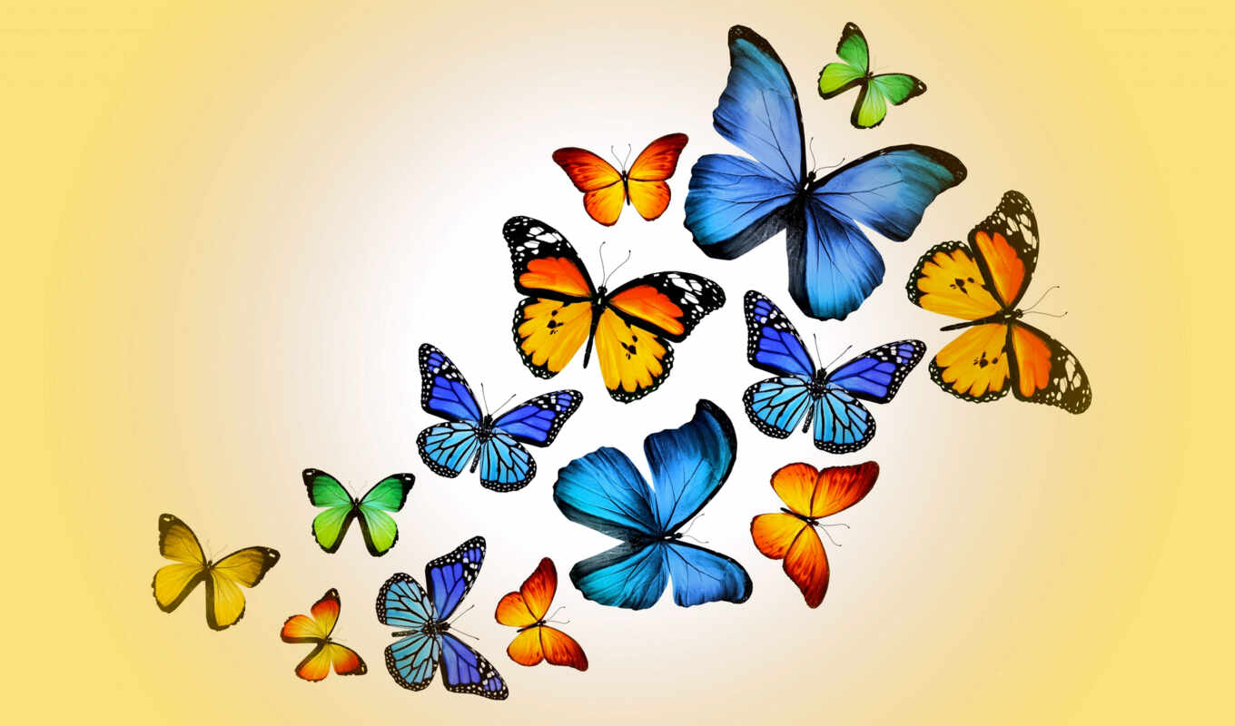 fone, black, white, picture, white, beautiful, butterfly, white, butterflies, butterflies, photo wallpapers