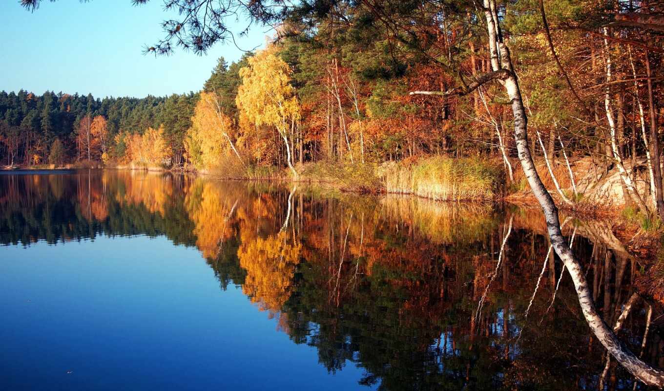 lake, desktop, autumn, silver, side, images, poland, free, field, turawa