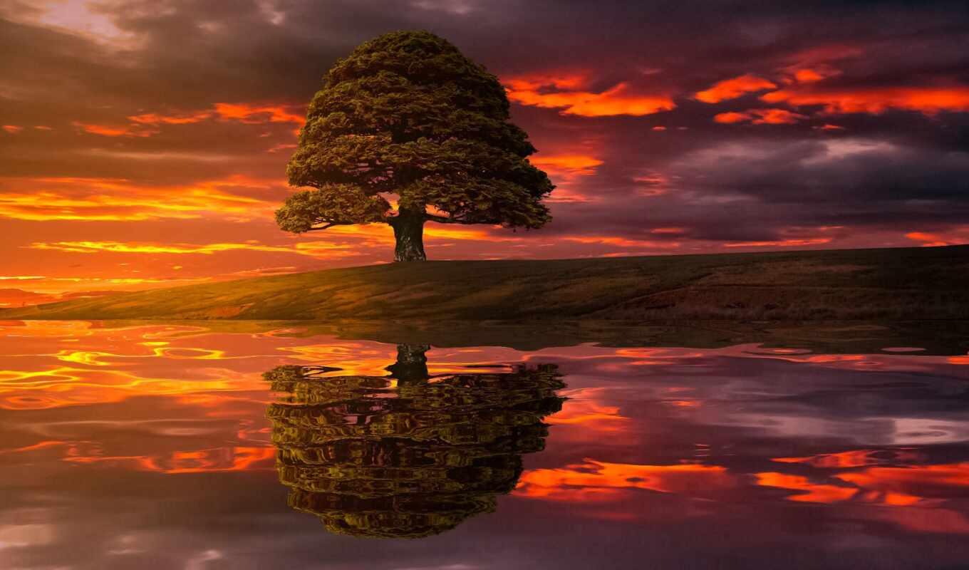 photographer, tree, sunset, water, big, An, orange, reflection, illumination, mayer