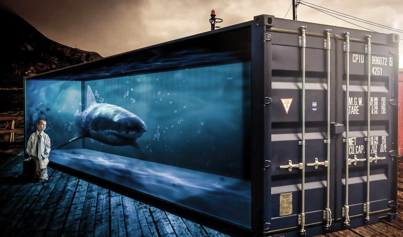 background, ship, ft, shark, standard, foot, dimension, container