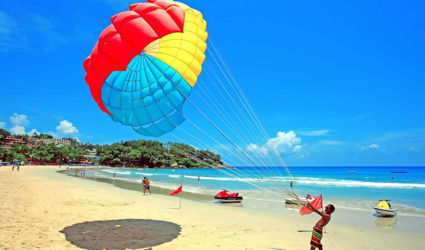 beach, cat, sea, phuket, parachute