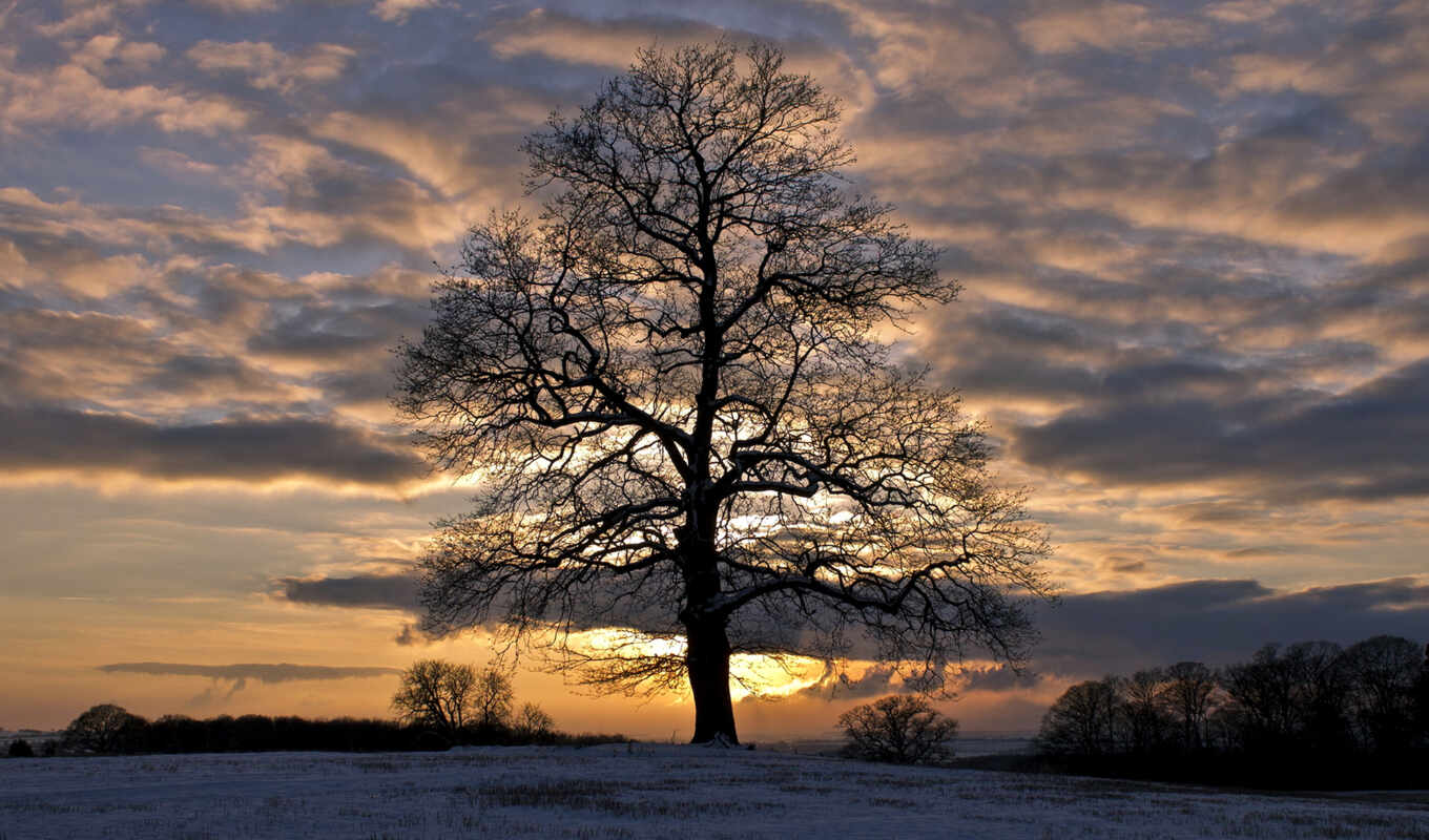 sky, desktop, page, sunset, snow, winter, field, evening, preview, trees