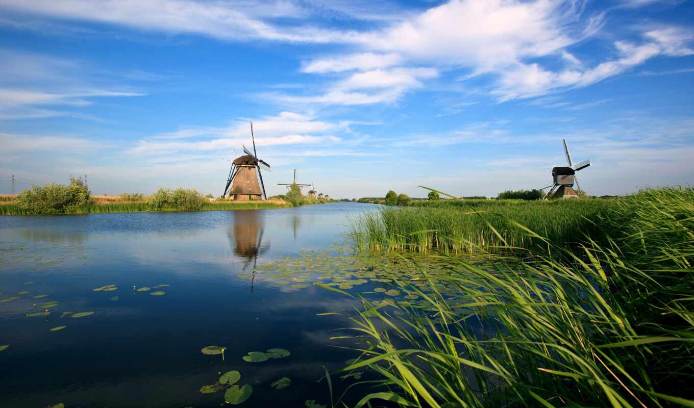 река, растительность, holland, mills