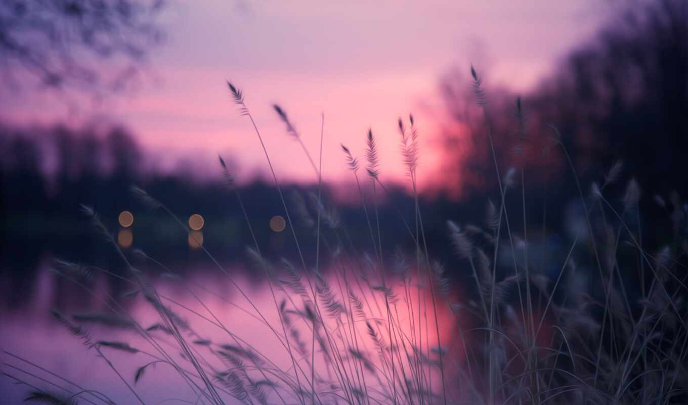 озеро, природа, purple, закат, розовый