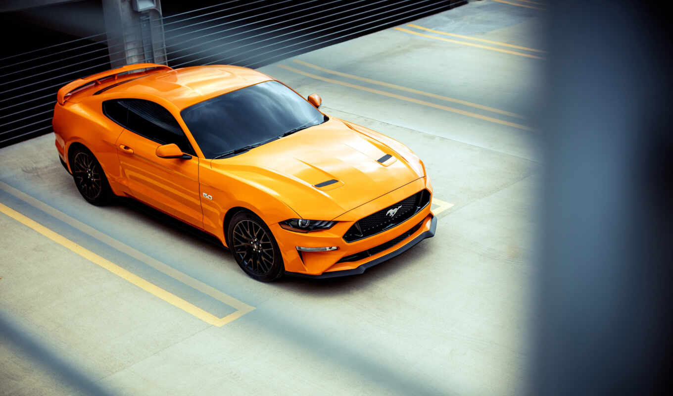 pack, car, ford, mustang, performance, wheel, sports, level, fast