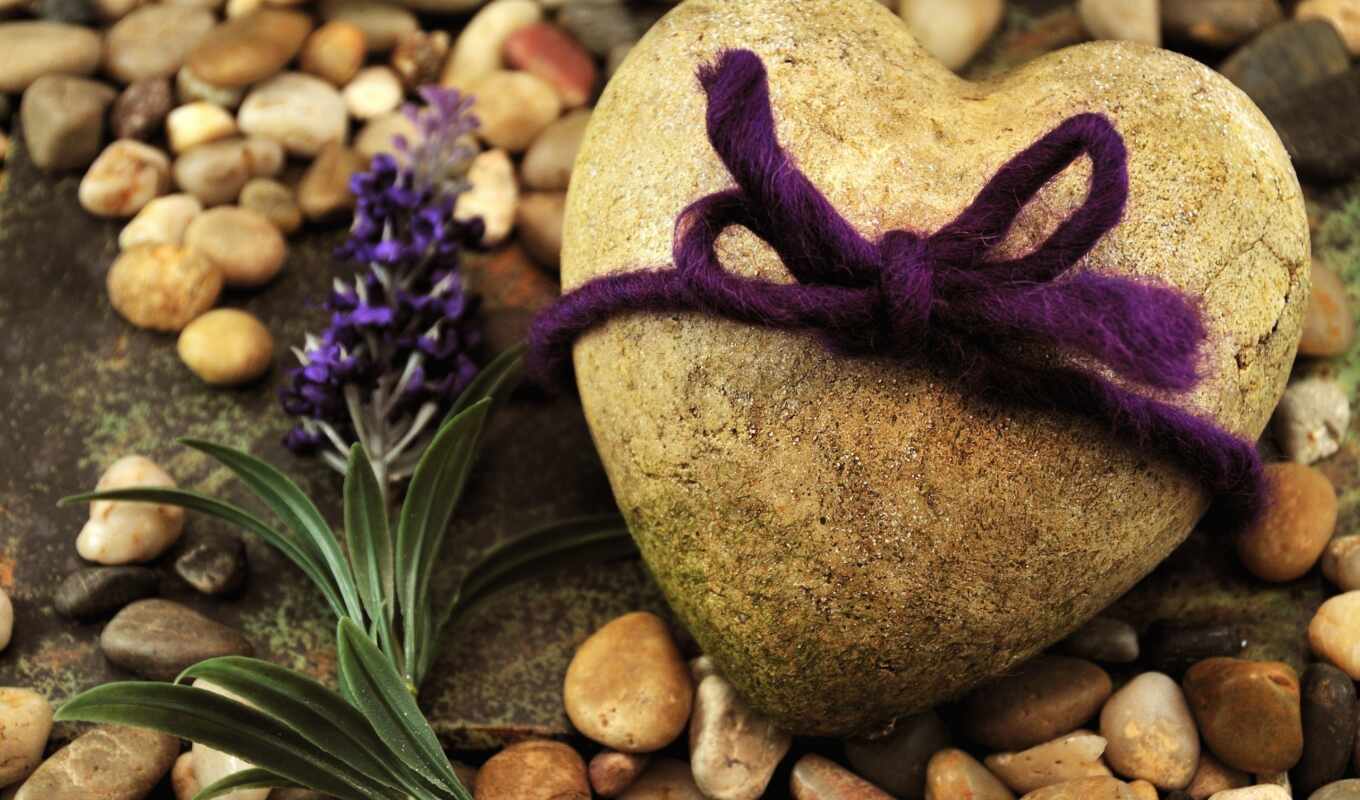 flowers, meal, love, stone, beach, heart, pebbles, rope