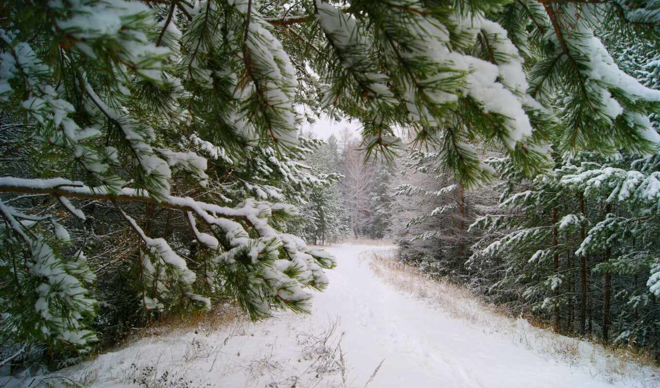 природа, winter, года, заставки, one, pinterest, зимние, зимушка