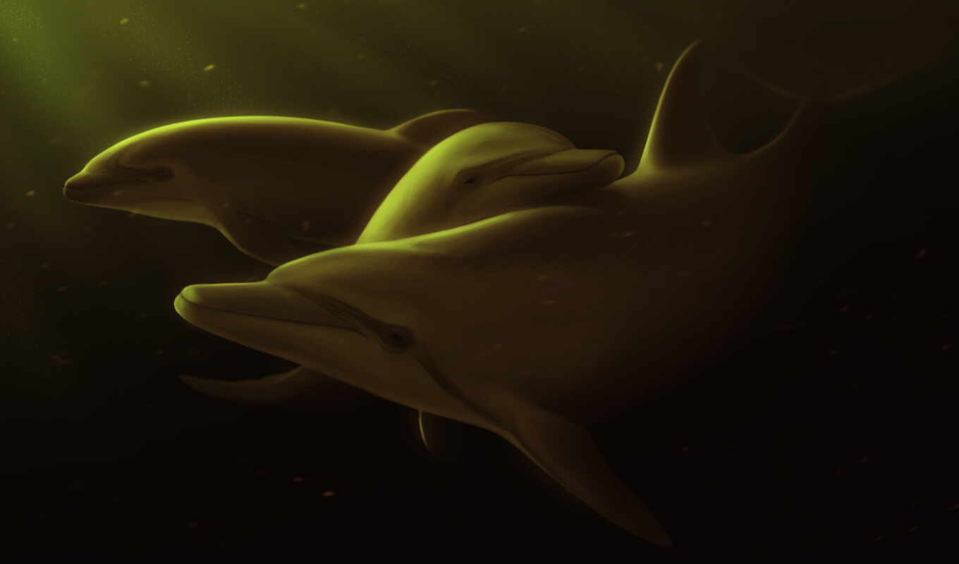 дельфин, underwater, ciorano