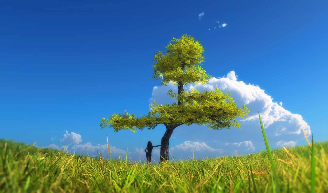 nature, sky, tree, grass, cloud