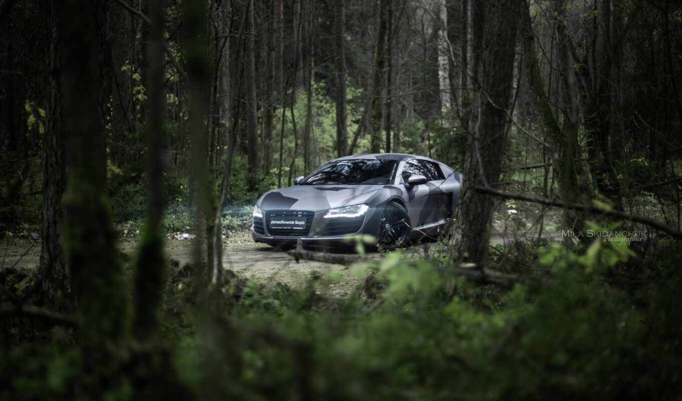 forest, supercar