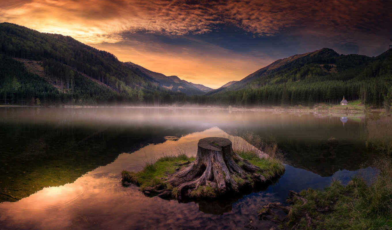 lake, nature, mountain, stump