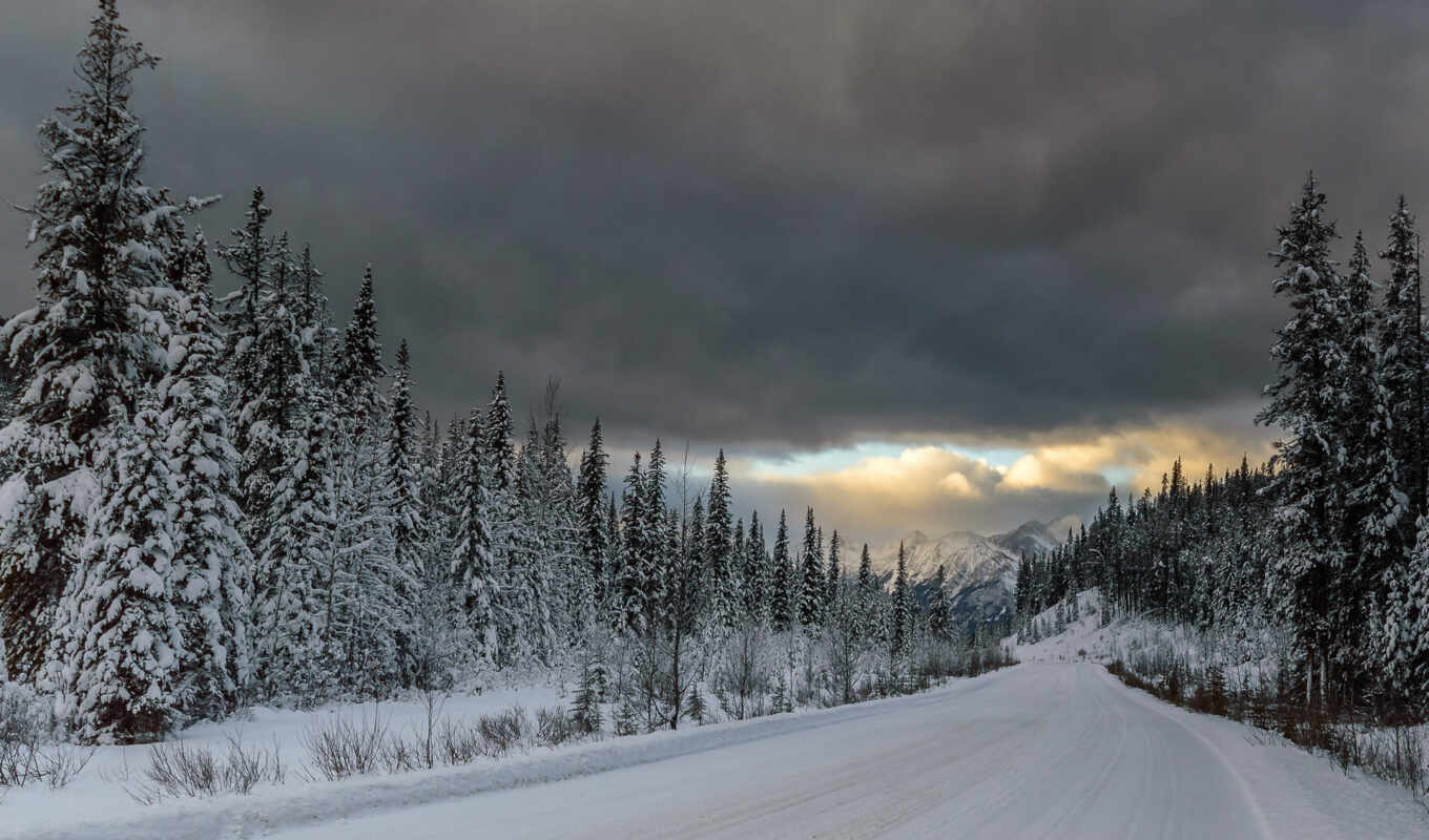 mountains, nature, snow, winter, forest, road, hunts