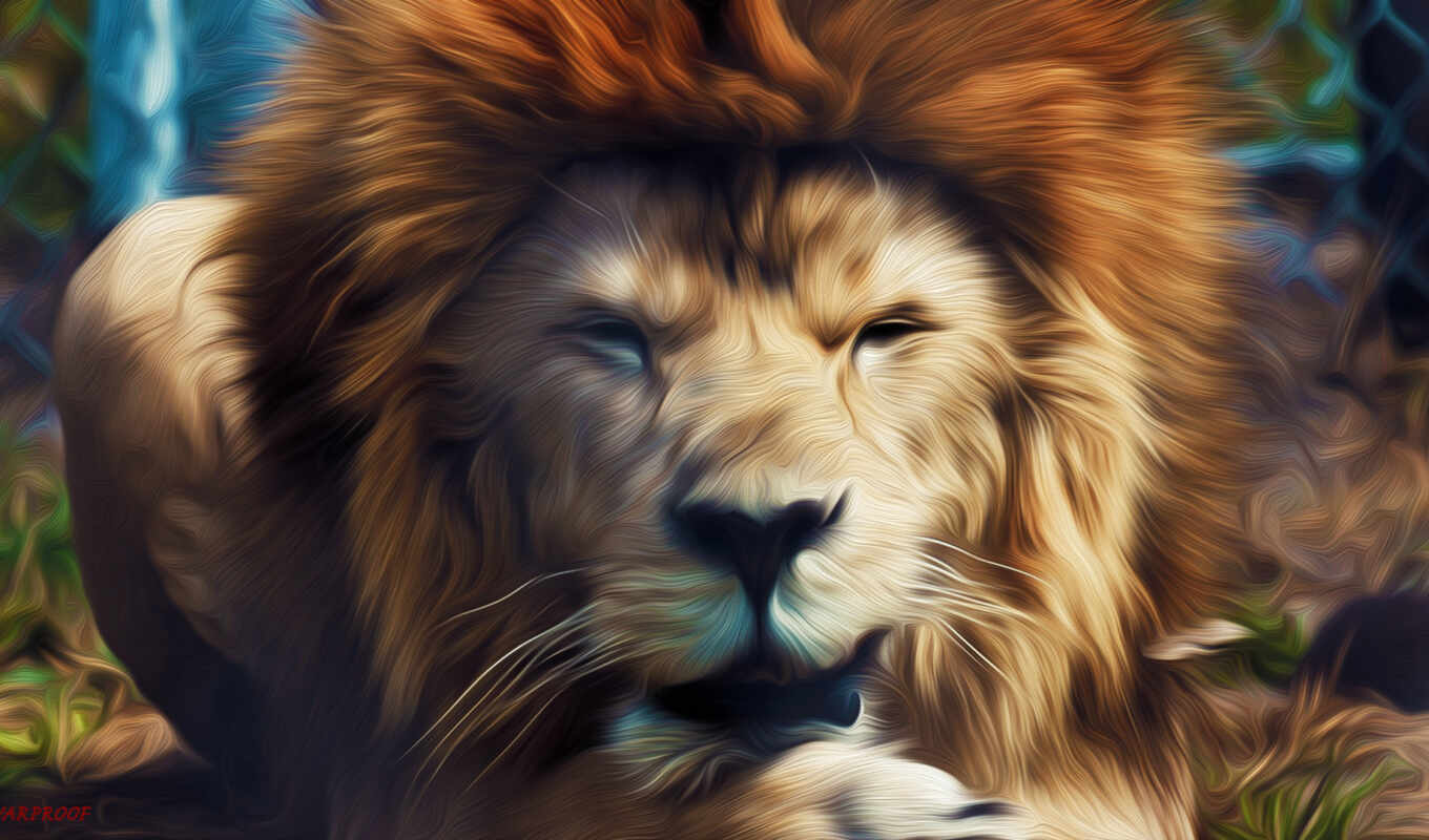 full, lion, кошки, львы, king, зверей, дикие, zhivotnye, хищники, зоопарке