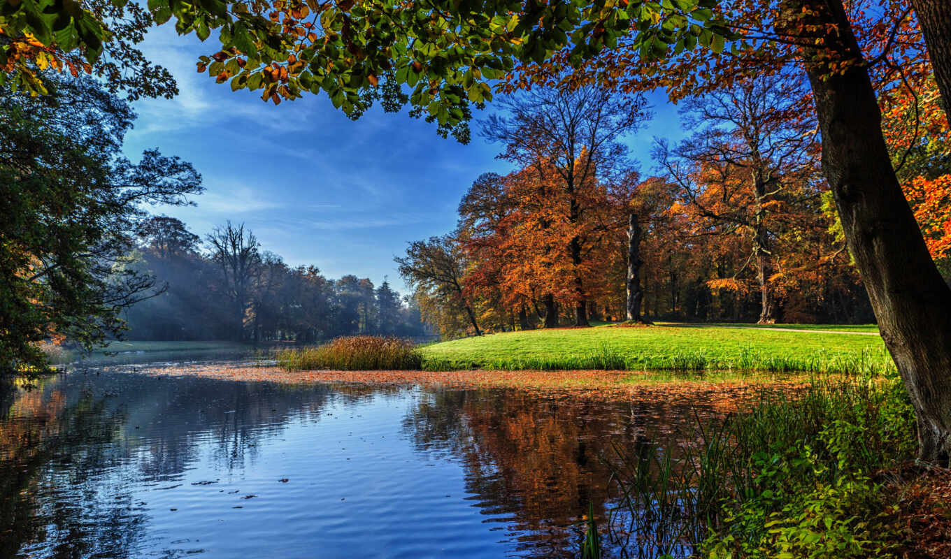 природа, desktop, free, нидерланды, осень, tapety, trees, holland, jezioro
