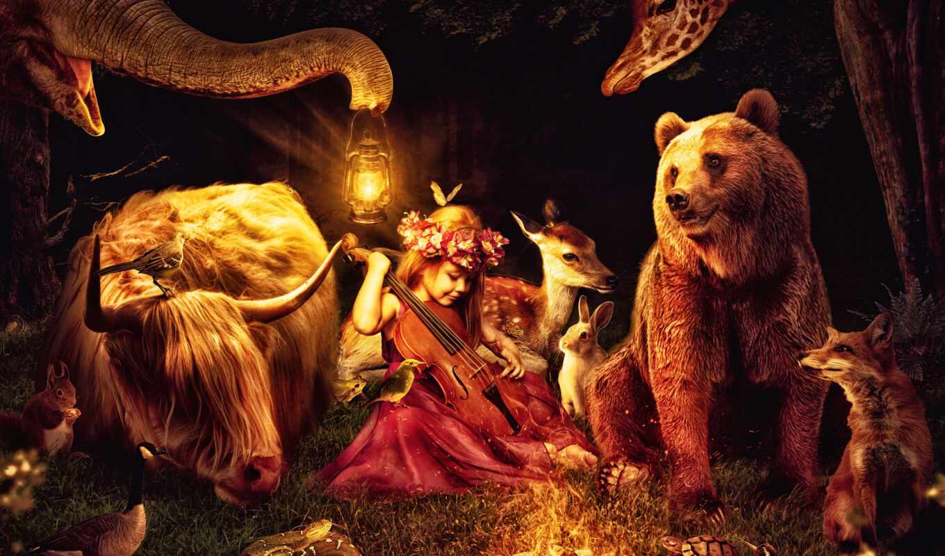 girl, animal, lantern, fore