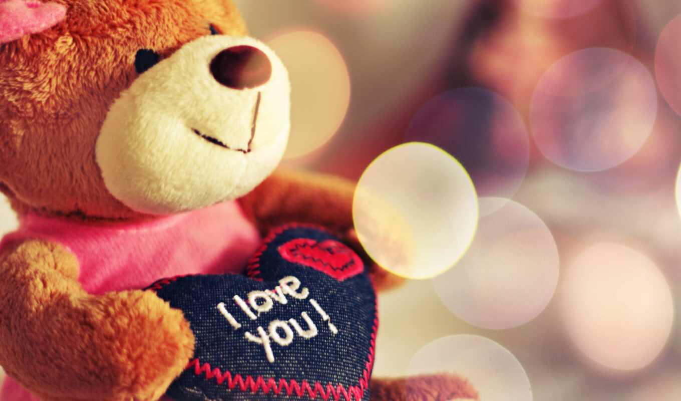 girl, love, gift, day, romantic, bear
