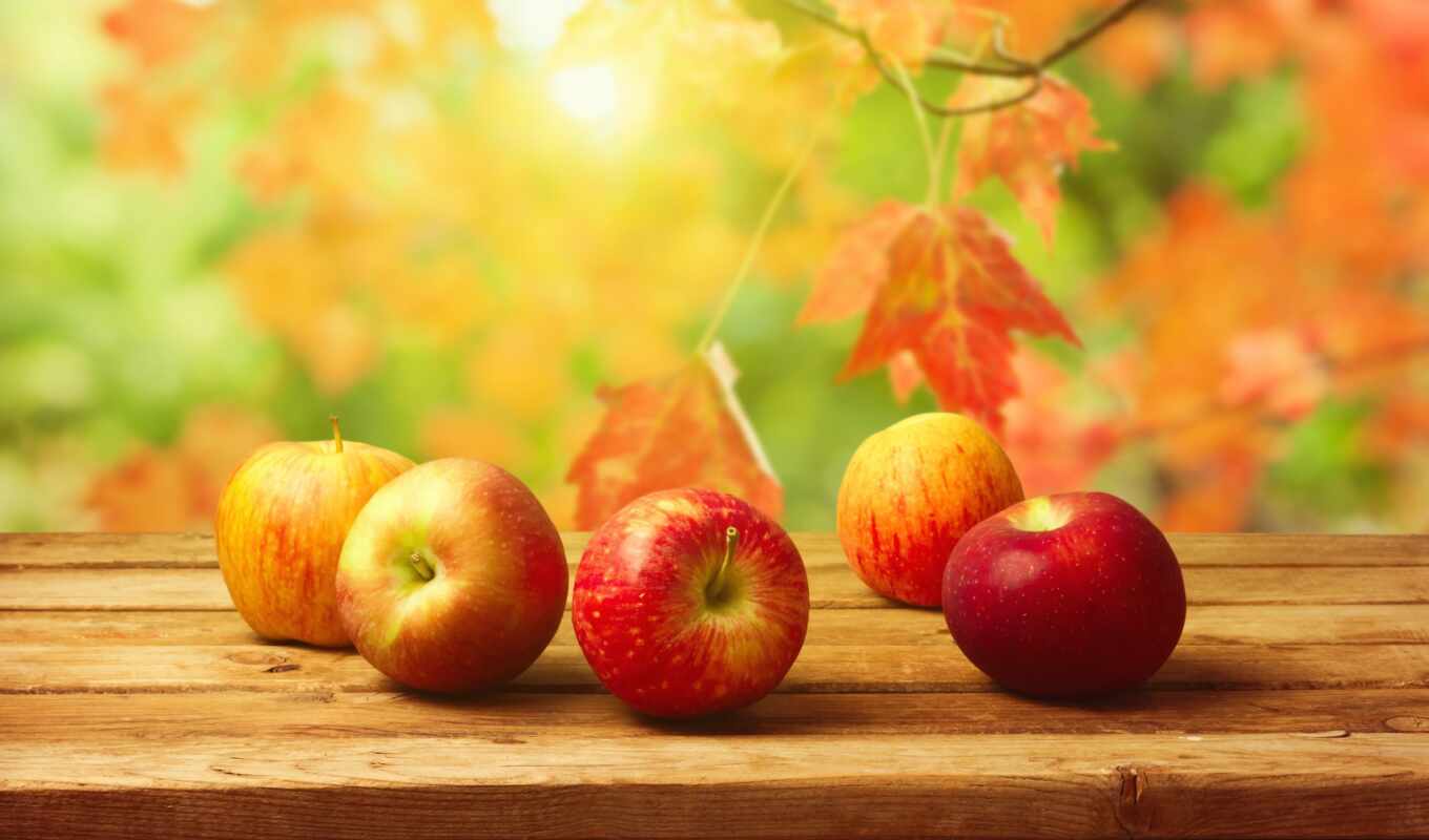 apple, лист, сентябрь, осень