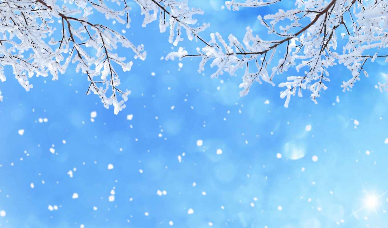 sky, frost, snow, winter, branch, snowflake, freezing