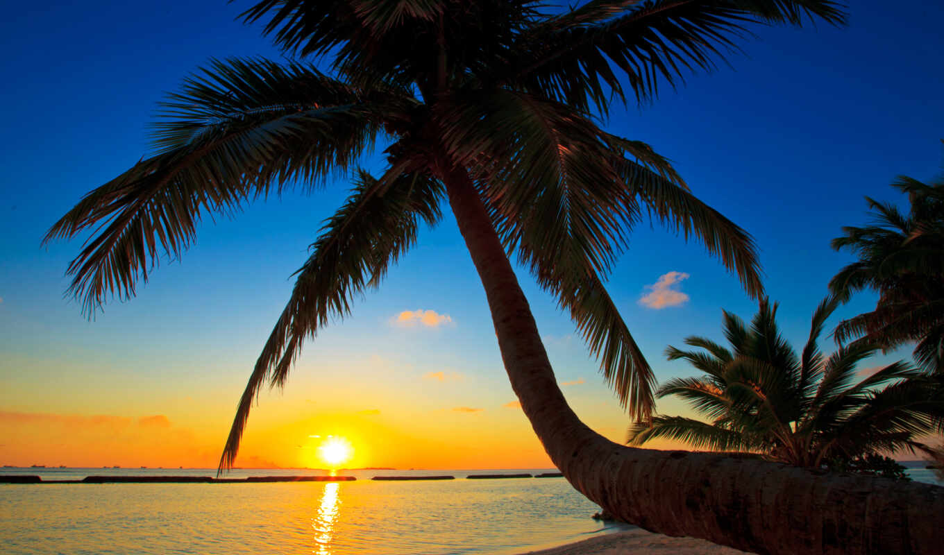 sky, picture, sun, sunset, sea, ocean, palm, maldives, sunsets, maldives