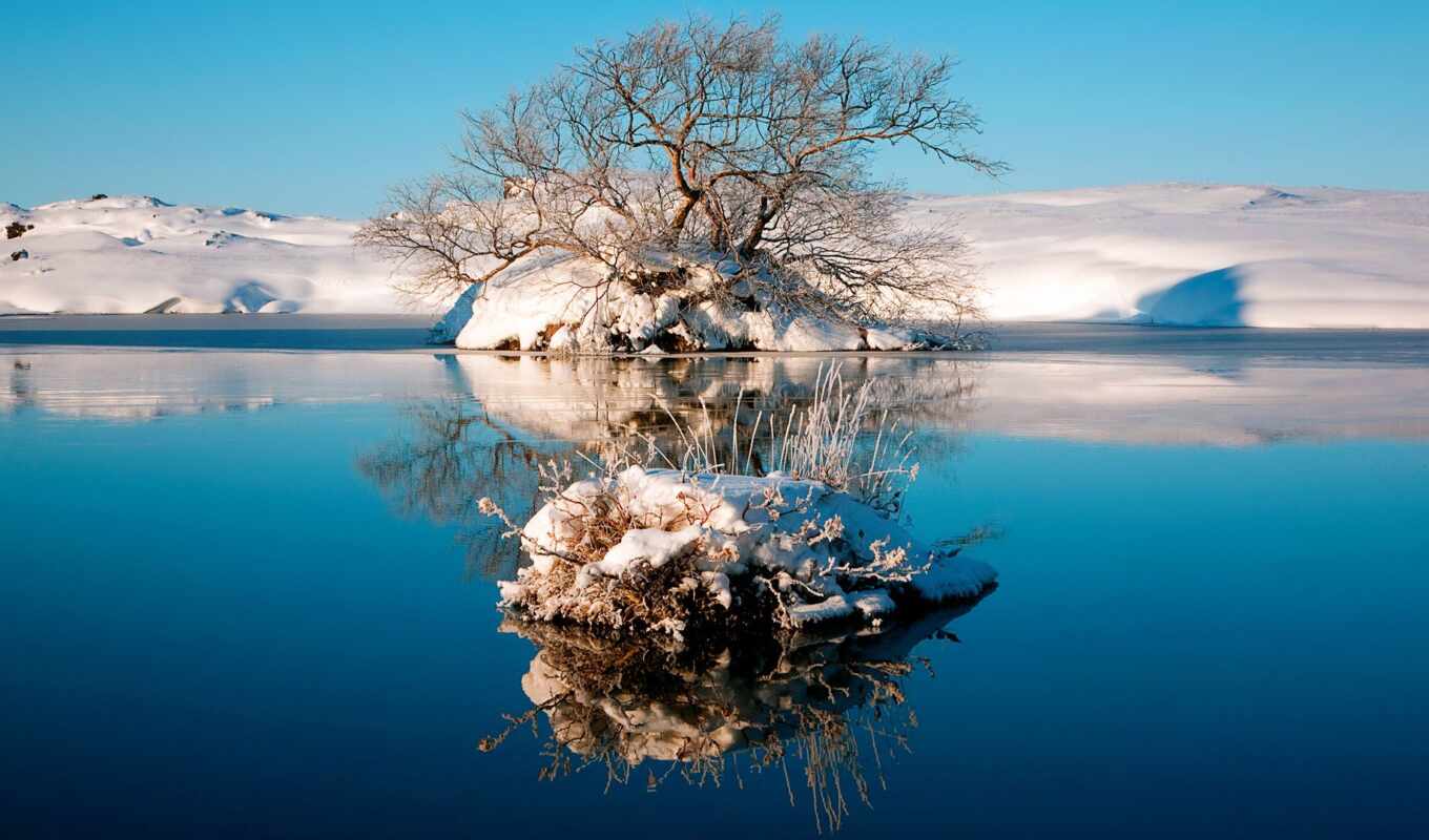 озеро, небо, art, дерево, water, снег, winter, отражение