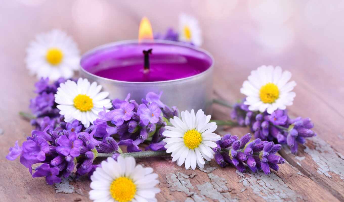 white, fire, candle, daisies, cvety, lavender, candles, lavender