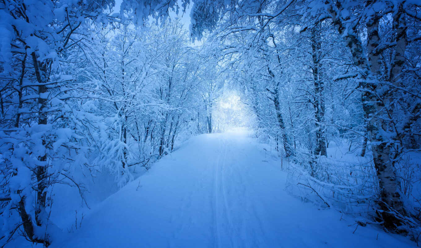 природа, снег, winter, app, fifth, измерения