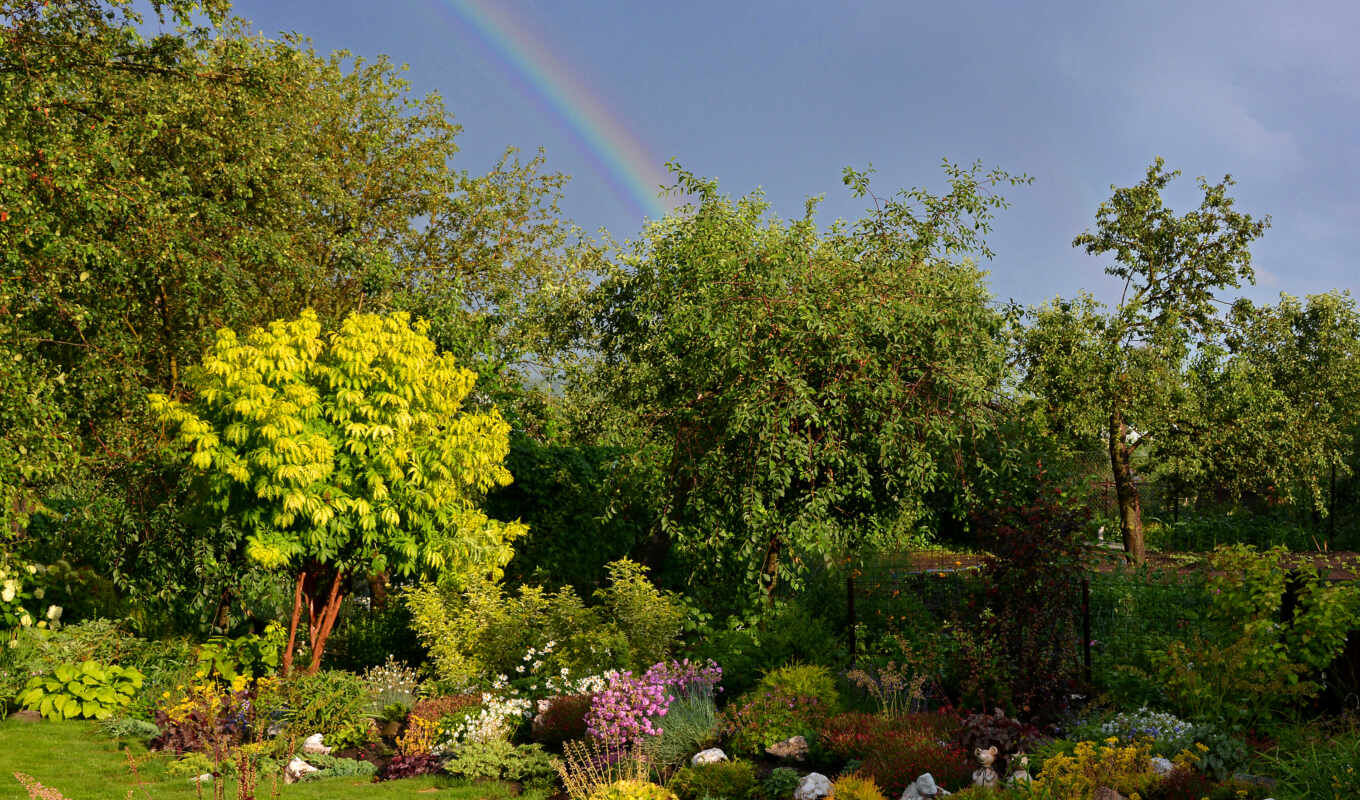 rainbow, garden, nature