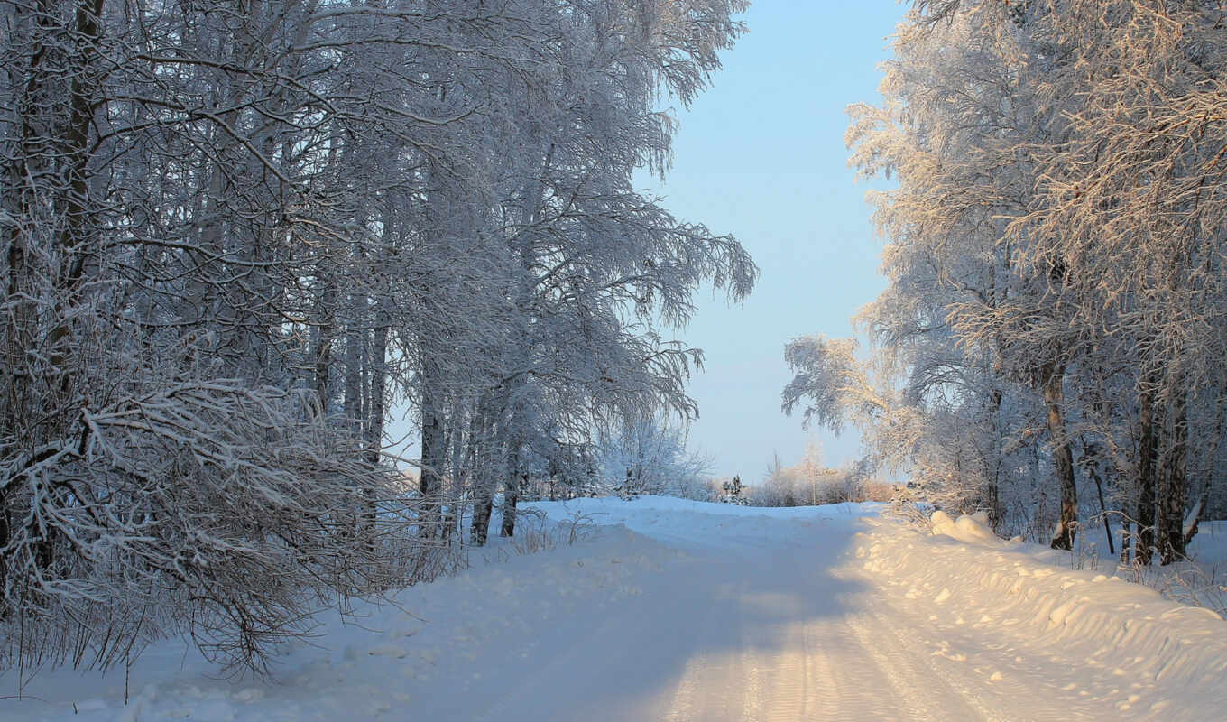 nature, road, roads, winter, wind, compare, according