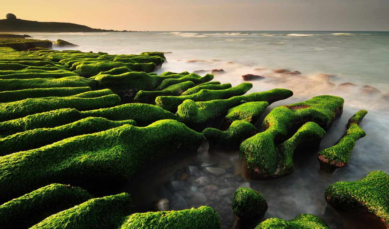 природа, online, зелёный, море, моря, puzzle, reki, камни, муравушка