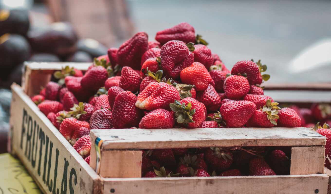 market, spring, fetus, plant, strawberry, vegetable, product, dish, berry, pischat