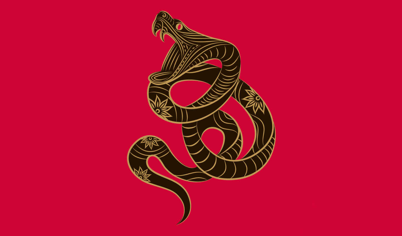 snake, минимализм, sign, zodiac, cobra