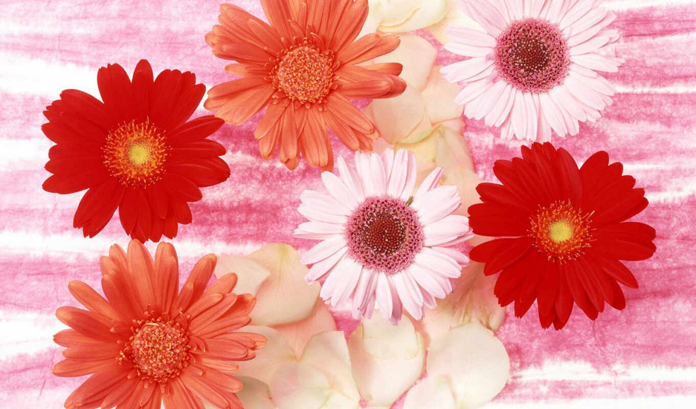 different, там, flowers, colored, ваза, many, организованный