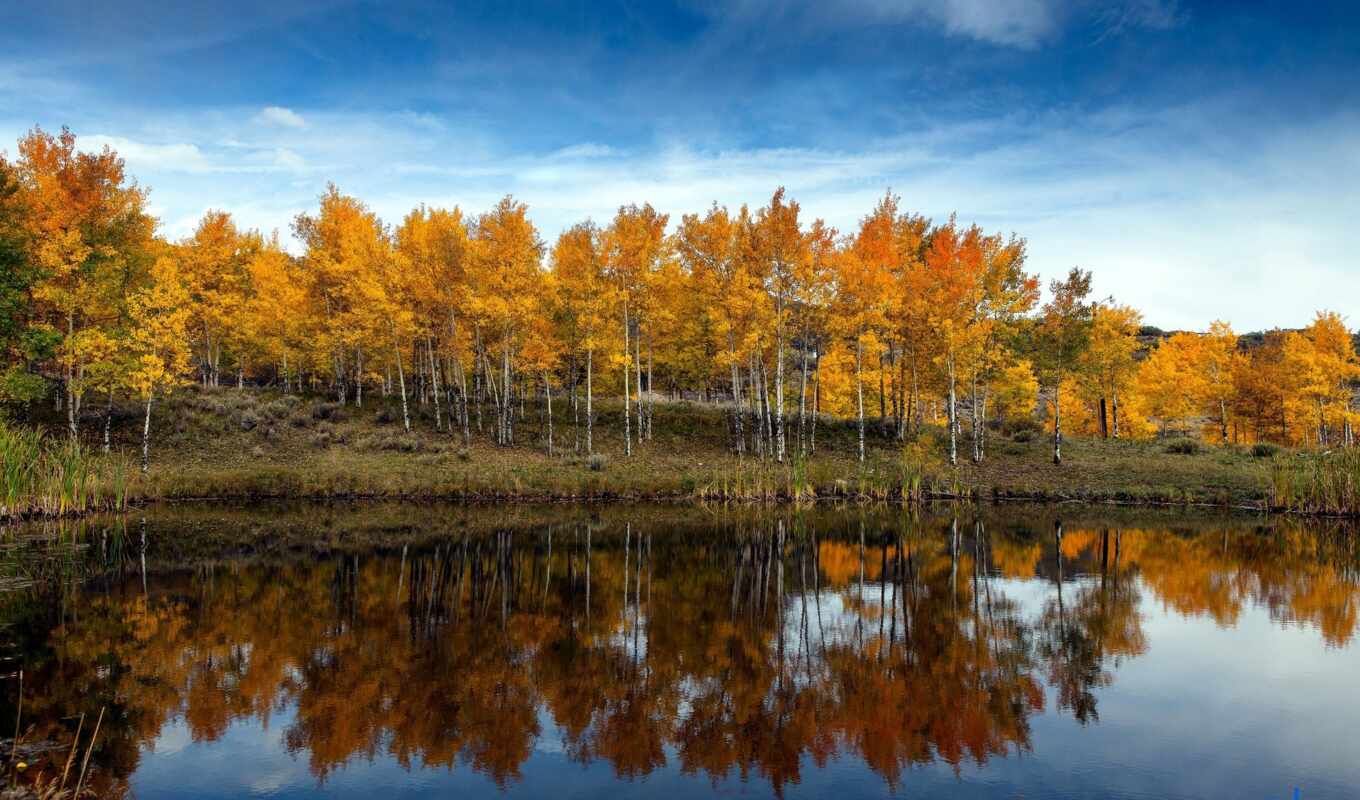озеро, природа, дерево, осень, kuza