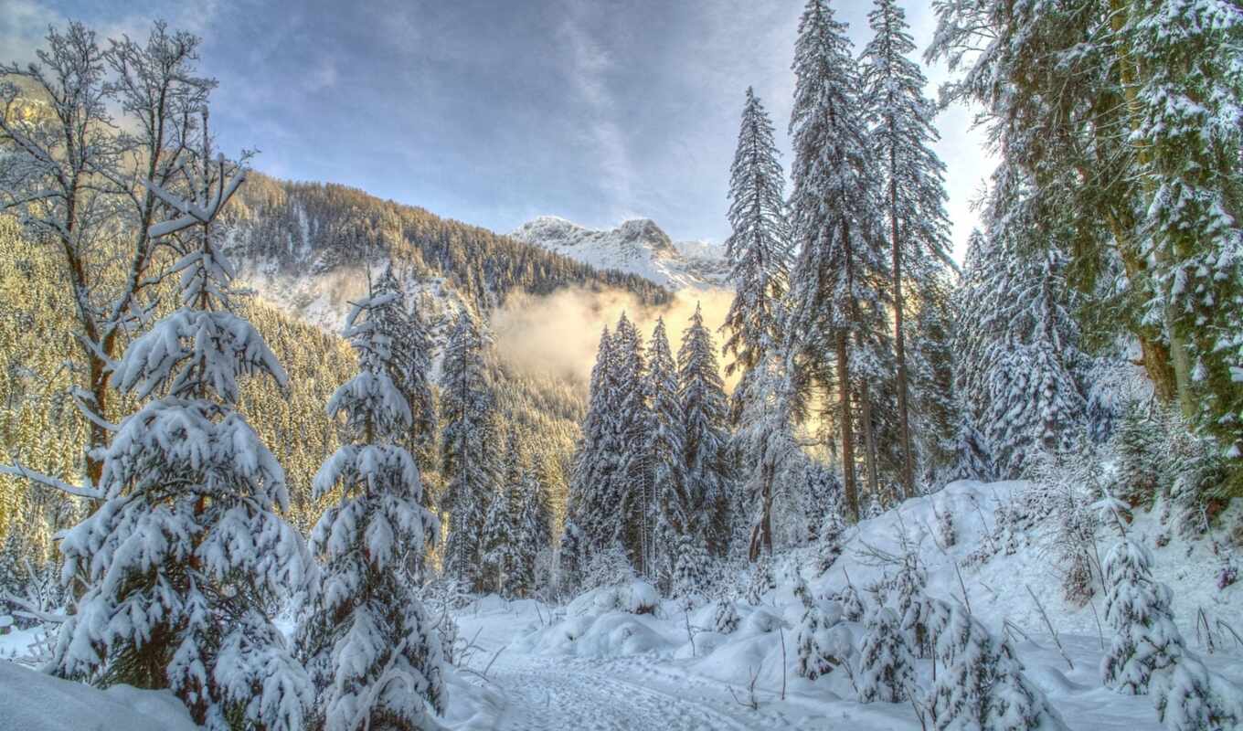 природа, снег, winter, лес, горы