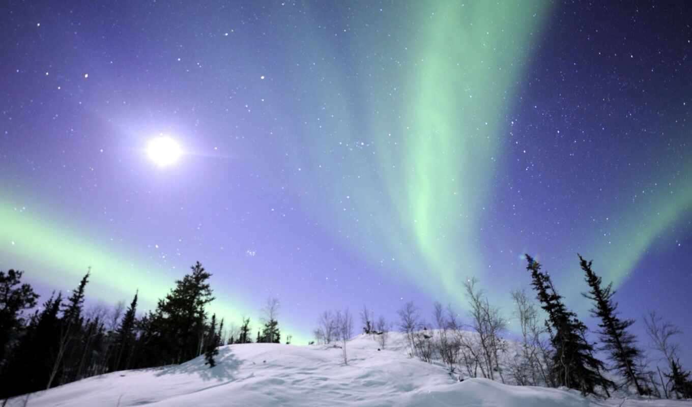 nature, Canada, tree, sky, snow, star, light, polar, severnyi