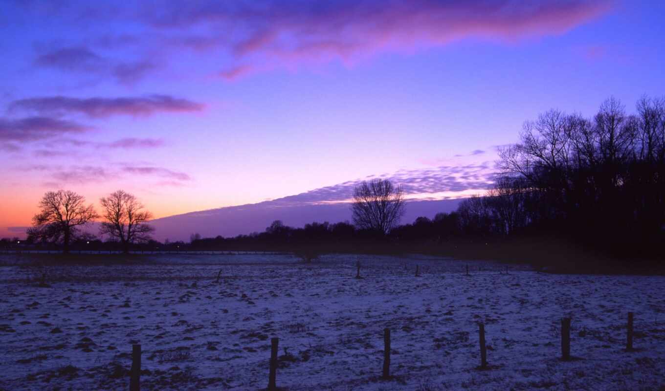 nature, photo, winter, field, twilight, beautiful, snowy