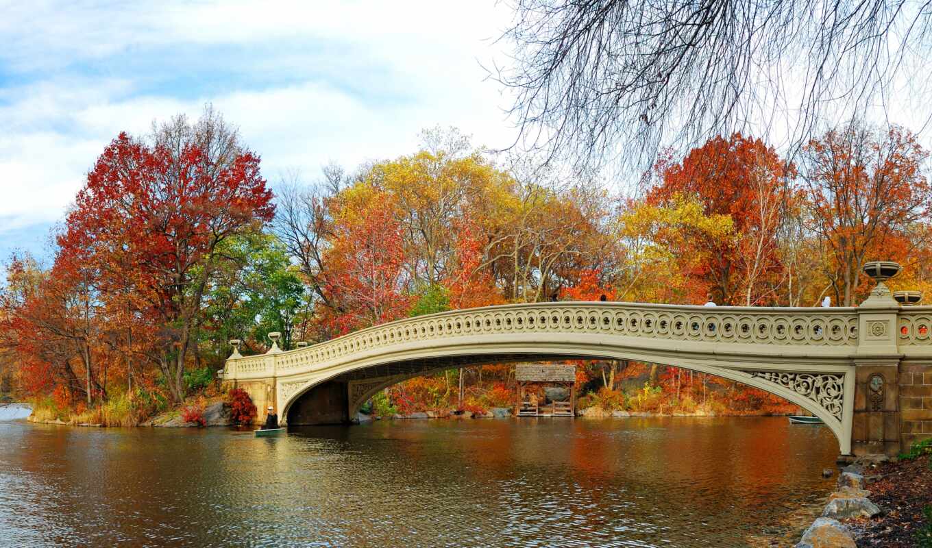 природа, мост, осень, красивый, parok