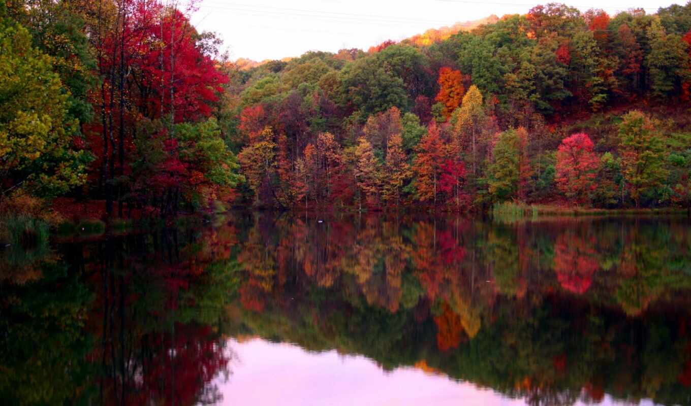lake, you, colorful, pictures, tones, foliage, mouth, west, virginia