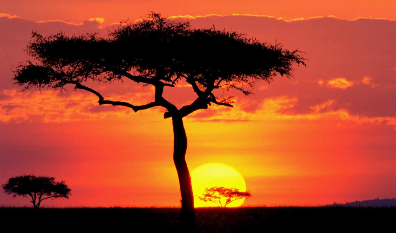 nature, sun, sunset, african