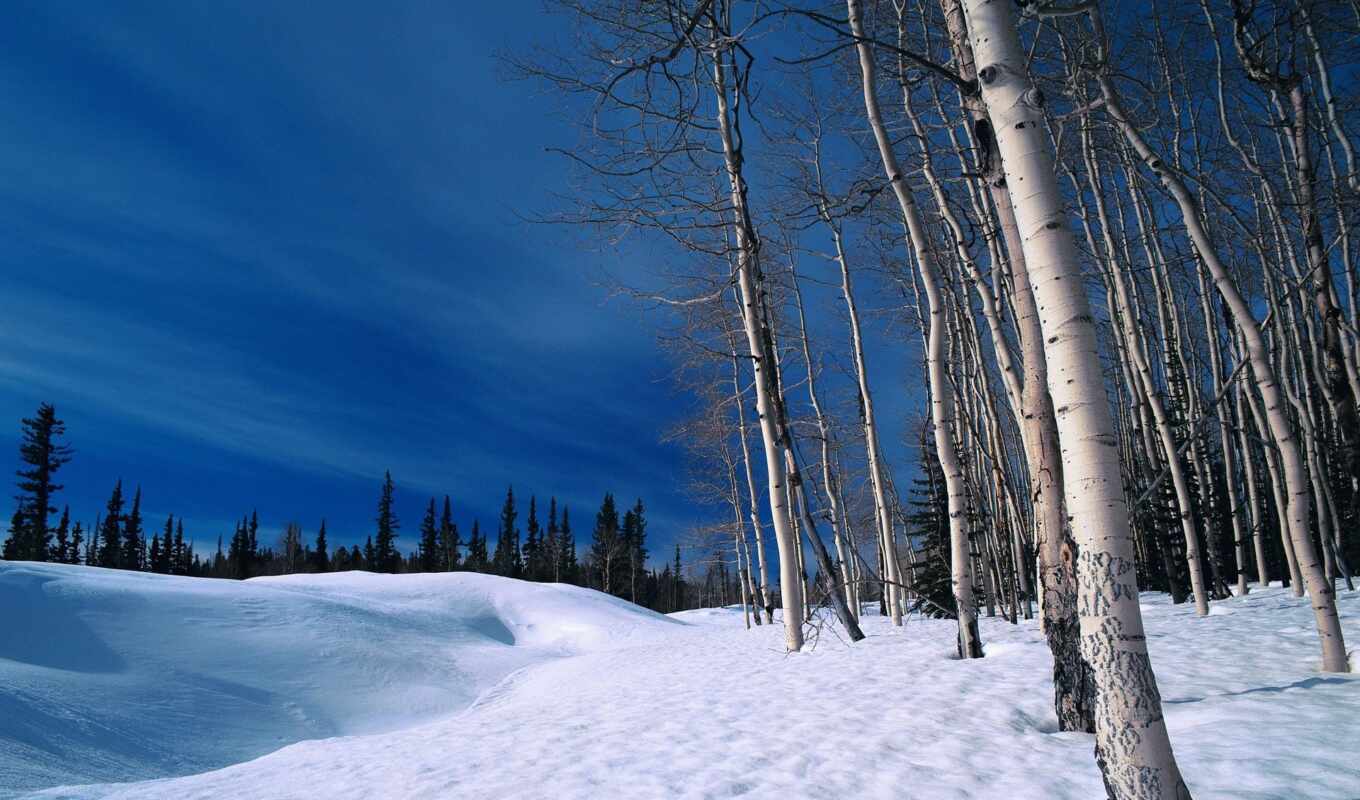 природа, пейзажи -, winter, лес, landscape, фотографий, природы, зимние, зимы