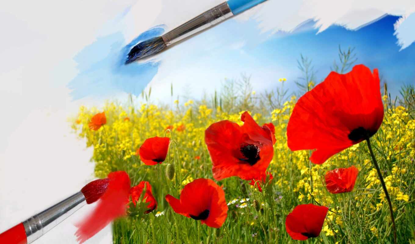 sky, art, flowers, white, Red, field, paints, paper, q, poppies