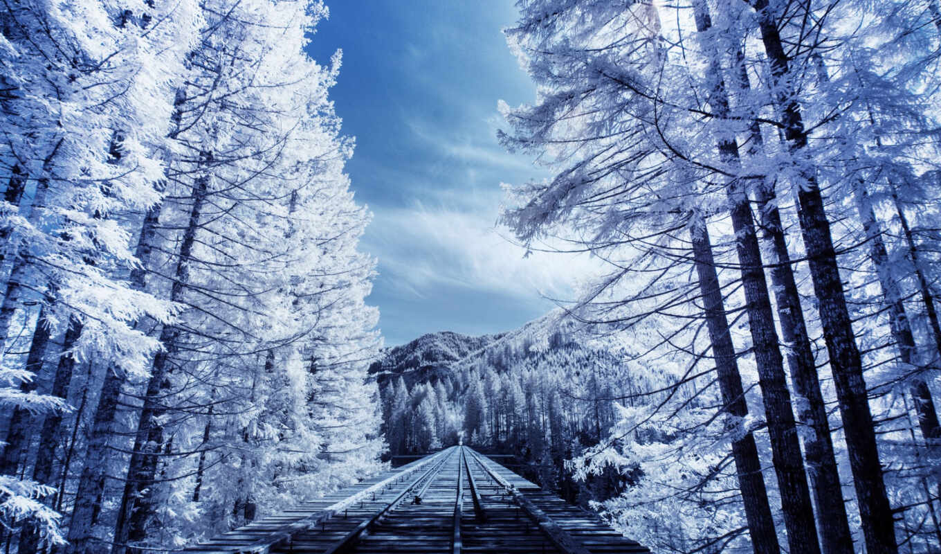 light, winter, forest, road, way, tapety, iron, beautifully, wait, mountains, wallpapers